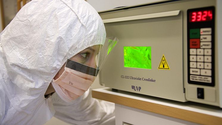 Vendela Kempe Lagerholm i DNA-laboratoriet, Naturhistoriska riksmuseet