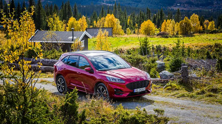 Ford KUga 2021