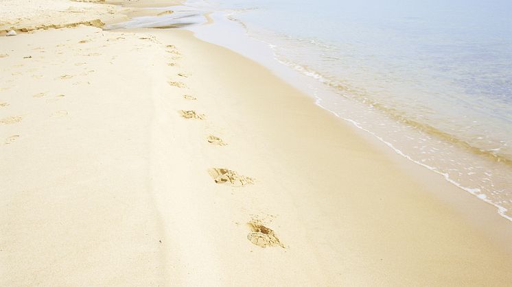 Strand vid Stenshuvud