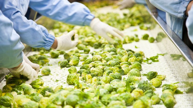 Ny version av onlineutbildning Lär känna HACCP - Codex Alimentarius