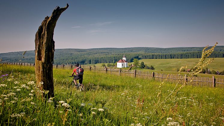 Radregion Erzgebirge (Foto Tourismusverband Erzgebirge e.V./René Gaens) 
