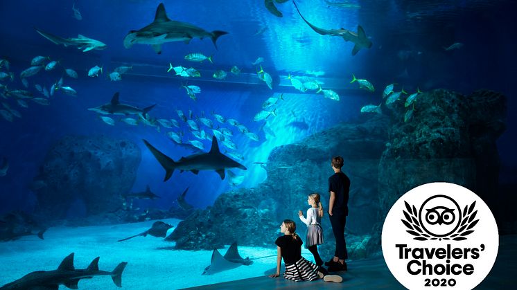 Den Blå Planet har vundet prisen "Travelers' Choice 2020"