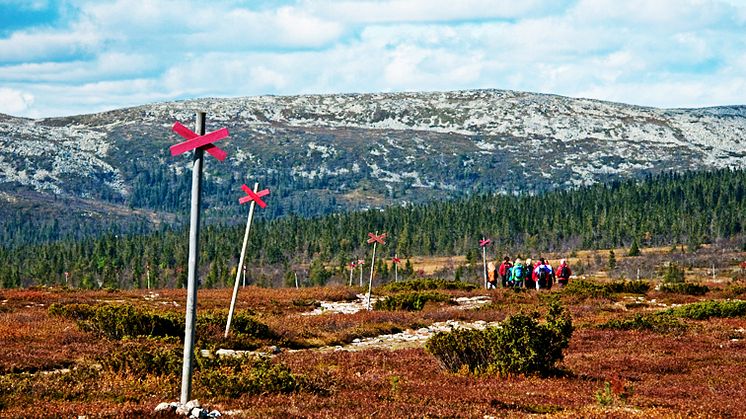 Ett starkt år för Storhogna Högfjällshotell & Spa