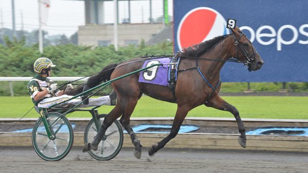 Amerikanska Maven och italienska Pascia 'Lest klara för Elitloppet.