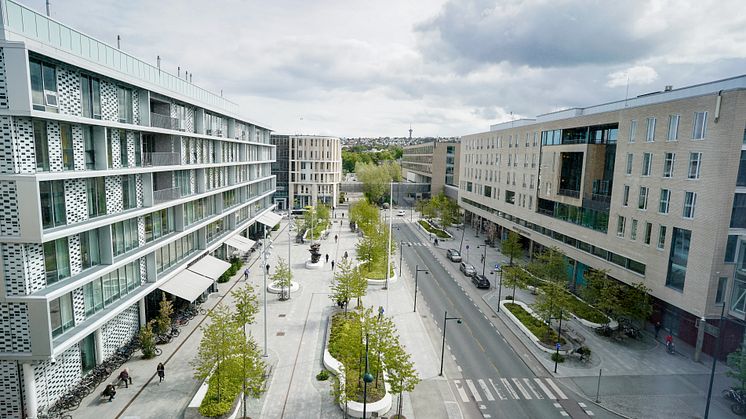 St. Olavs hospital i Trondheim er en egen medisinsk bydel. Foto: Geir Otto Johansen/St. Olavs hospital