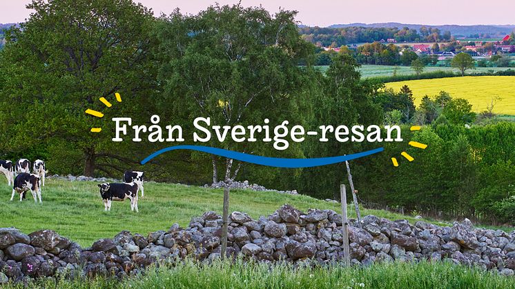 Med Från Sverige-resan vill vi tillsammans med Land uppmärksamma den svenska maten, drycken och växterna för att inspirera och öka kunskapen om såväl bredden som lokala specialiteter, innovationer och svenska mervärden..