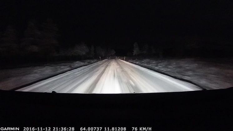 Høysesong for dyrepåkjørsler