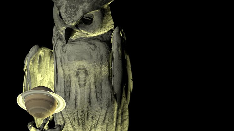 Oracles, Owls... Some Animals Never Sleep av Ann Lislegaard (2012–2014)
