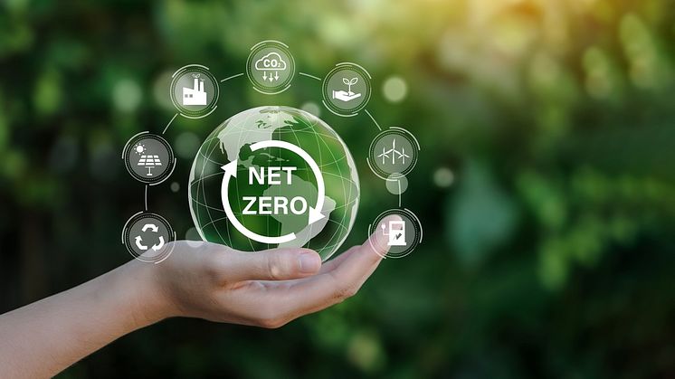 Transitioning-to-Net-Zero-What-Investors-Need-to-Know