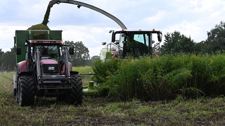 Bildrecht: C. Kemnade/Deutsche Wildtier Stiftung