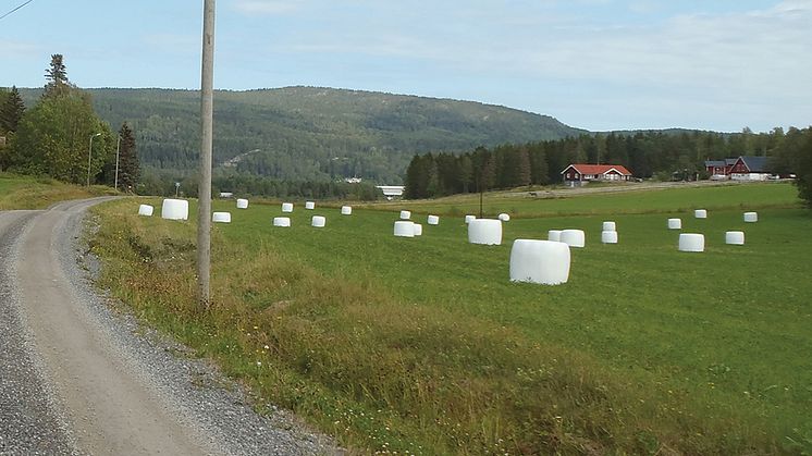 KSLAT nr 6-2019 Svenskt jordbruk 2030 – vägen dit