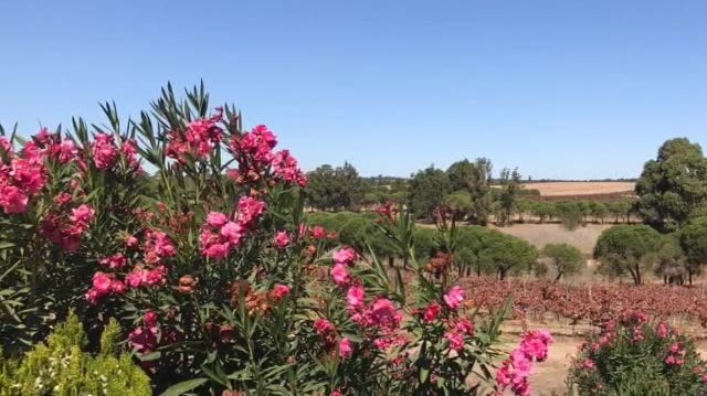 Visningsresa "Bo i Portugal"