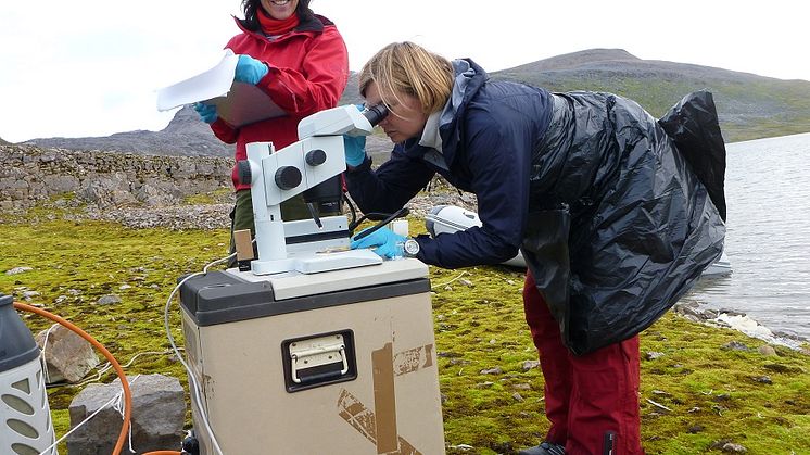 Anita Evenset og Marianne Frantzen, Bjørnøya2014.jpg