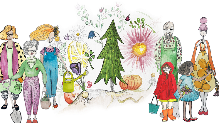 Sölvesborgs trädgårdsdagar. Illustration Charlotte Pettersson. Godkänd att använda för press.