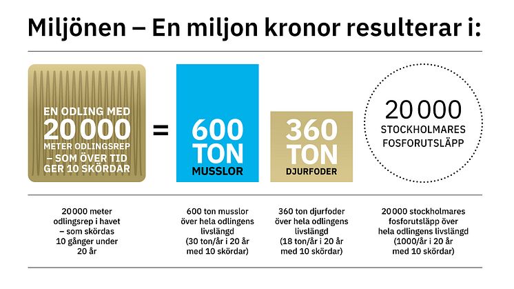 Ny miljon till Miljönen