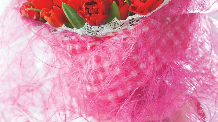 Tulpan och amaryllis är kärlekens blommor
