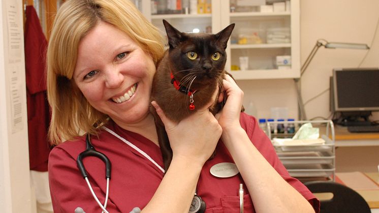 Veterinär Malin Öhlund med burmakatten Krister. Foto: Sanna Lindåse