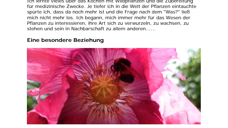Eine Blume hat mir erzählt - Begegnung mit der Pflanzenwelt