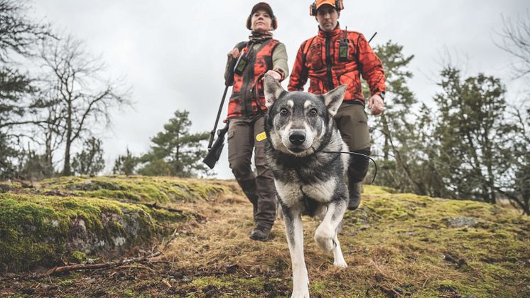 Garmin Alpha 200i koirapaikannin inReach satelliittiviestintäteknologialla lisää turvallisuutta ja helpottaa kommunikointia metsällä 