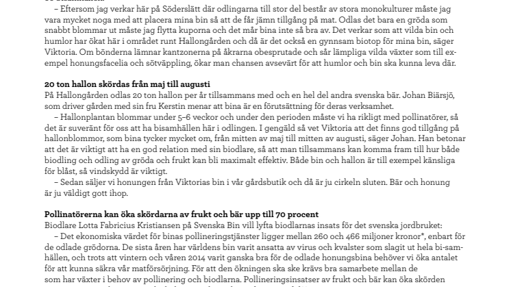 Binas pollinering en förutsättning för fina svenska bär