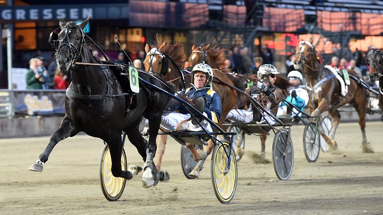 Nuncio segrade i Meadow Roads lopp 2016 och vann sedan Elitloppet samma år.