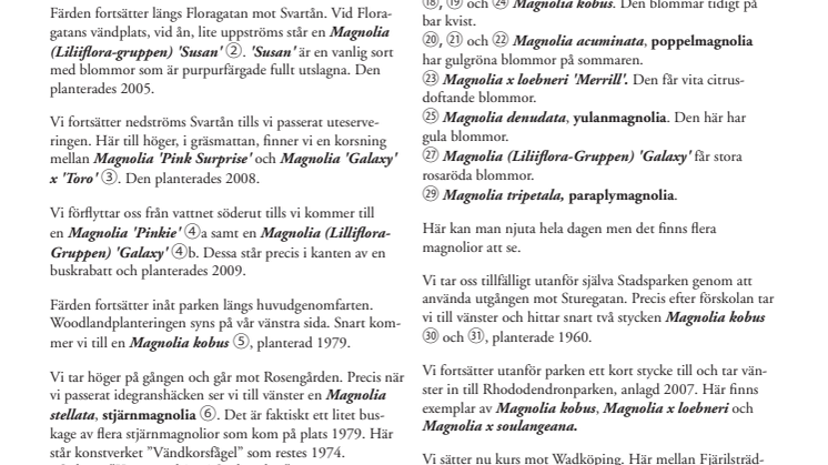 Magnoliavandring i Stadsparken