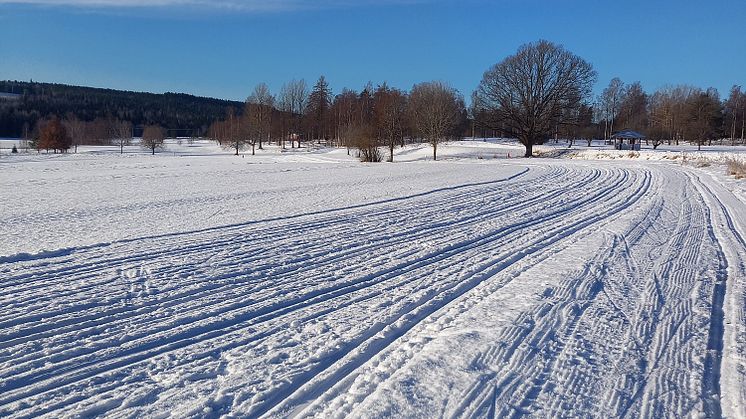Isbanor och skidspår i toppklass tack vare ideella krafter