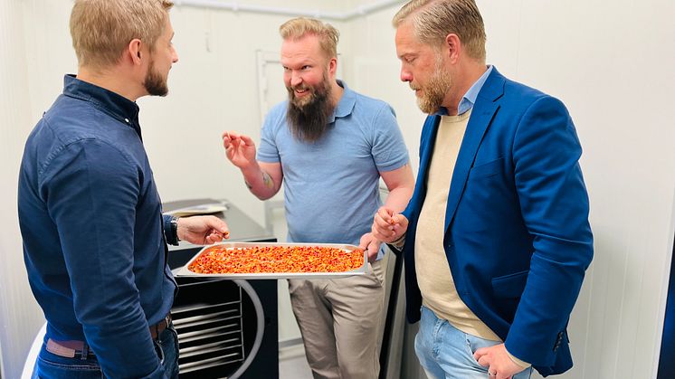 Hofmann_Stål_Brorsson.jpeg