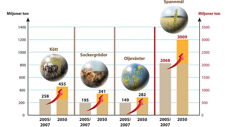 FN:s bedömning av behovet av ökning av olika lantbruksprodukter fram till 2050. Notera att spannmål har en egen skala till höger i figuren beroende på dess stora volym i förhållande till de övriga grödorna. Illustration: Per Frankelius, Agtech 2030. 