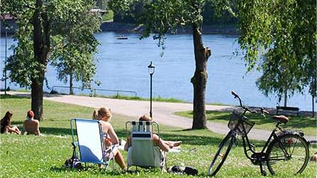 9000 plockar skräp för ett renare Umeå