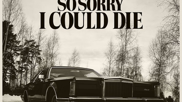 SoSorry_artwork.png