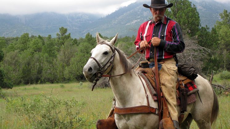 Cowboys & Outlaws