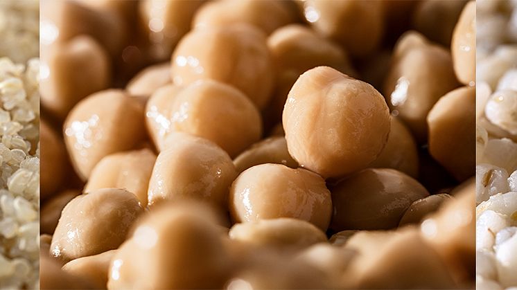 Bonduelle Food Service Minute® Quinoa Kichererbsen Gerste 
