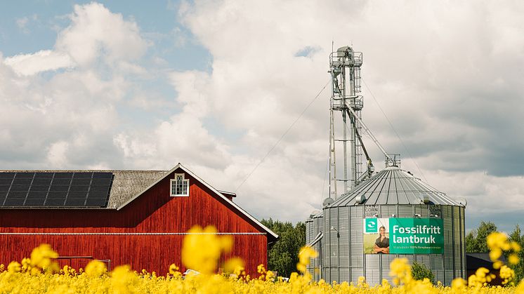 Tillsammans med Yara är Energifabrikens sikte inställt på att producera biodrivmedlet rapsmetylester (RME) tillverkad av fossilfritt odlad raps.