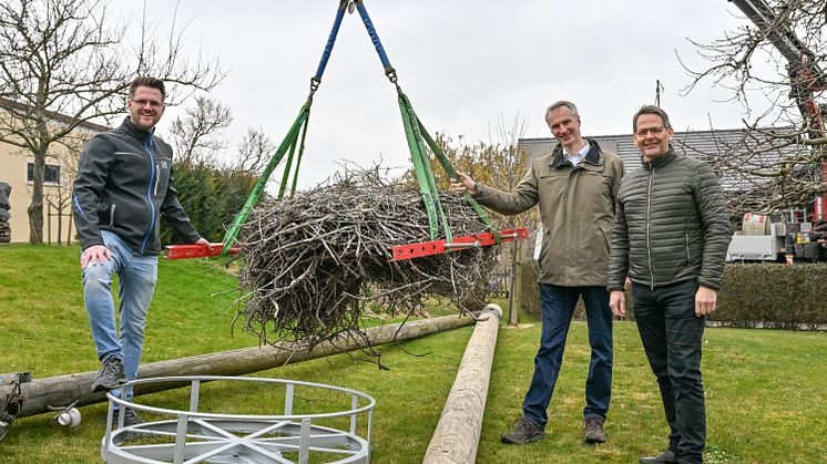 Florian Frank, Leiter Netzbetrieb Königsbrunn/Schwabmünchen LVN, Walter Albrecht, Leiter Kommunalmanagement LEW, und Bürgermeister von Langerringen Marcus Knoll, waren bei der Sicherung des Storchennests vor Ort.  