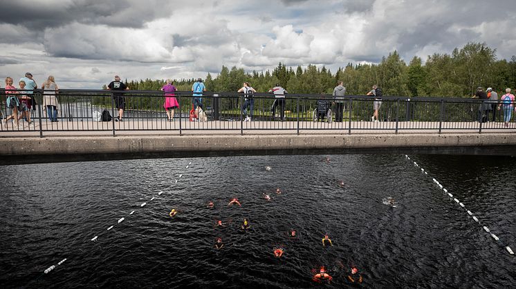 Vansbrosimningen