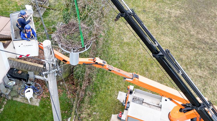 20240305_Storchennest Pfaffenhausen