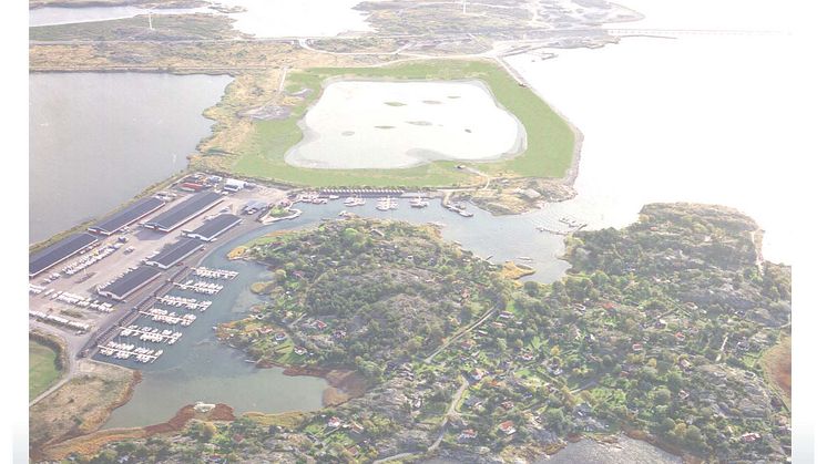 From mudflat to wetland for wildfowl 