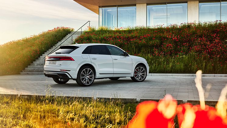 Audi Q8 60 TFSI e quattro (Gletsjerhvid)