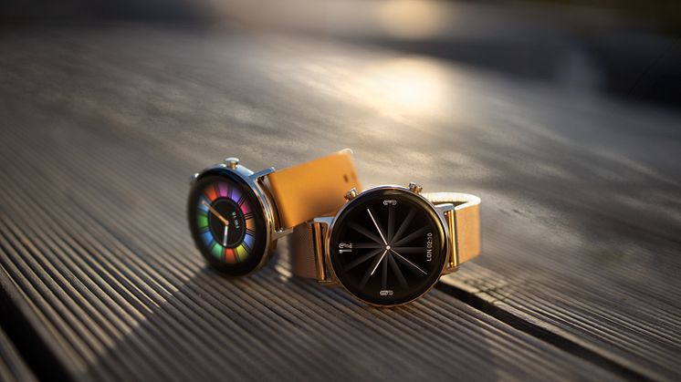 Watch GT 2 42 mm and 46 mm 