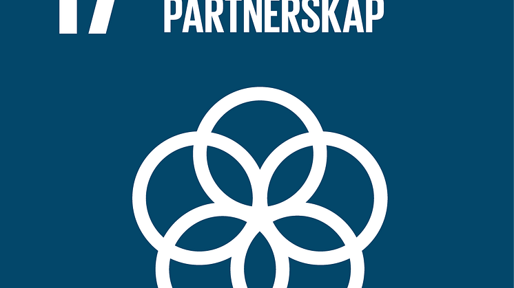Mål 17 Genomförande och partnerskap