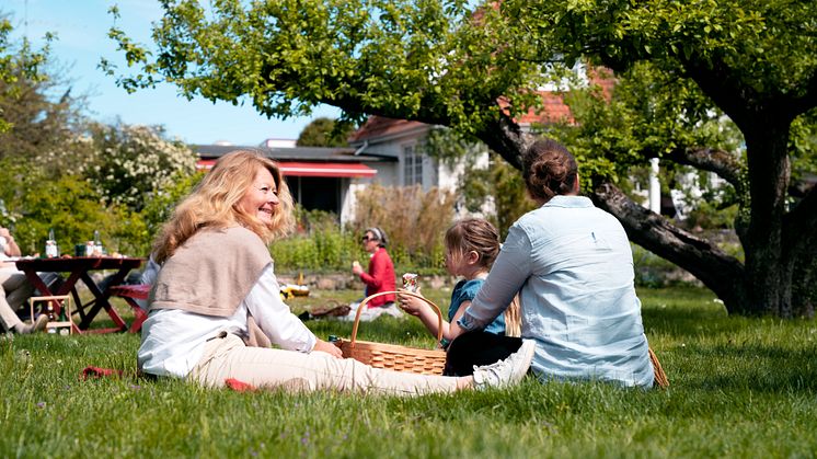 ÄPPELTRÄDGÅRD picknick