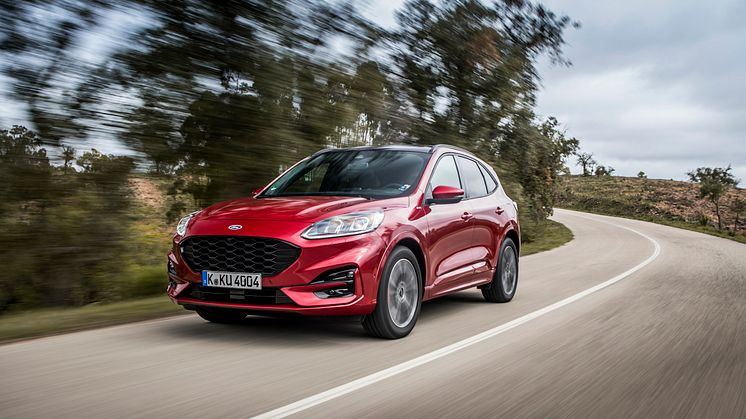 Ford EcoBlue Hybrid 2020