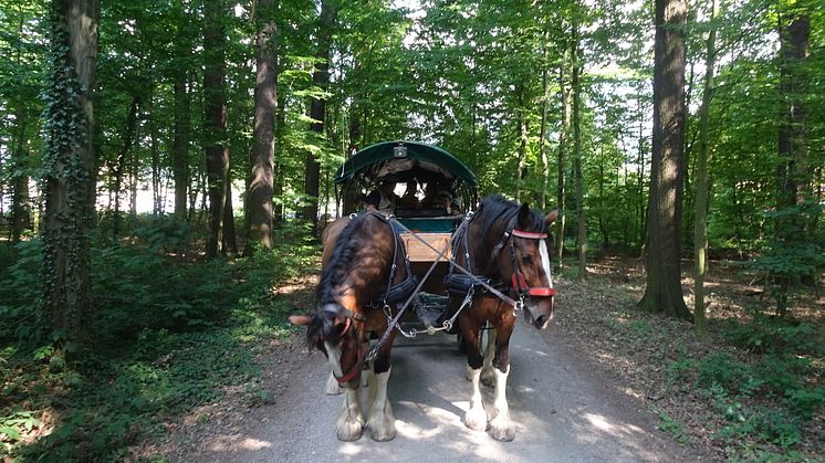 Geschwisterkinder fahren ins Sommerfreizeitcamp nach Oberau