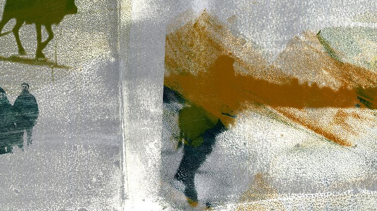 Omslag till boken De tvångsförflyttade av Birger Ekerlid