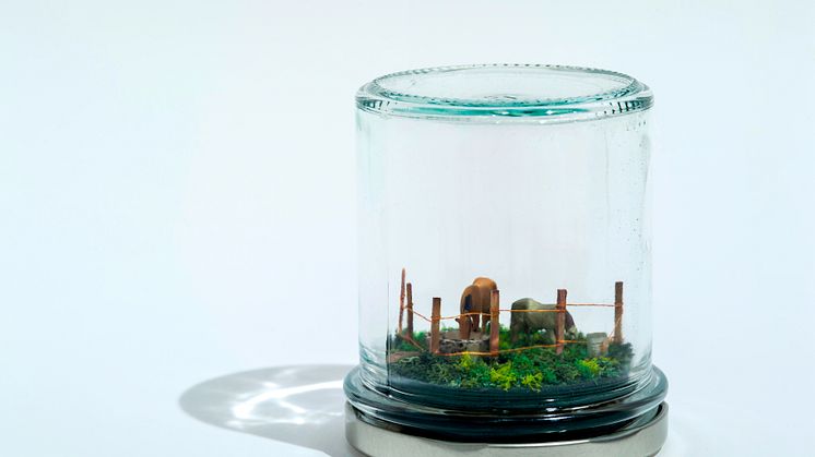 Miniature_IGP0052