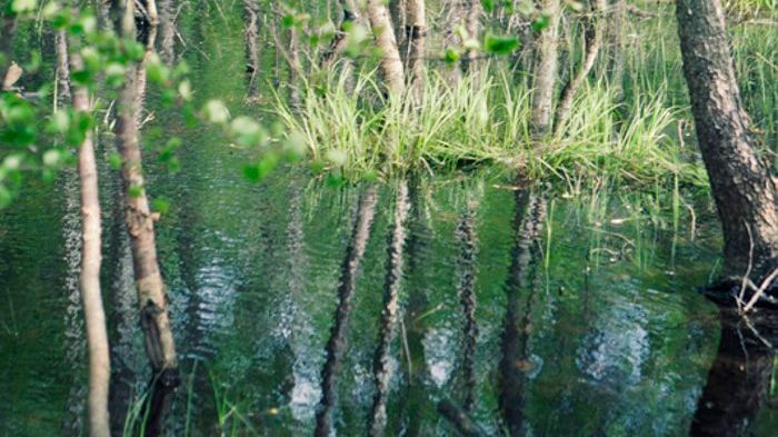 40 miljoner till projekt för bättre havs- och vattenmiljö