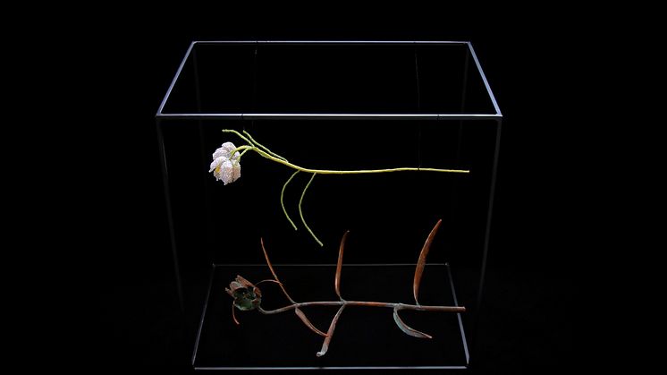 pärlblomma2.jpg