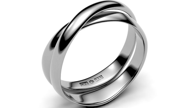 The Rings of Infinite Joy (1).jpg