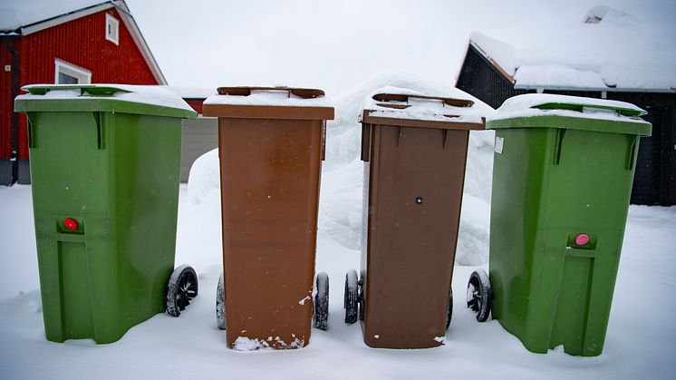 Vad gömmer sig i Umeåbornas soptunnor?